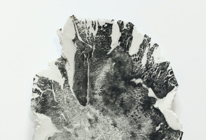 Anne Laval <br> Paésine 1 – Image 2