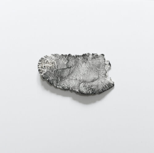 Anne Laval <br> Paésine 6