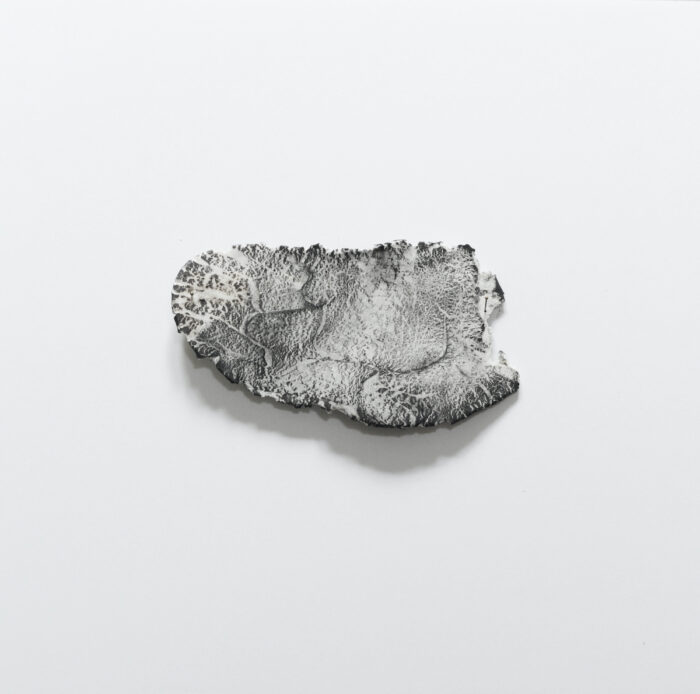 Anne Laval <br> Paésine 6
