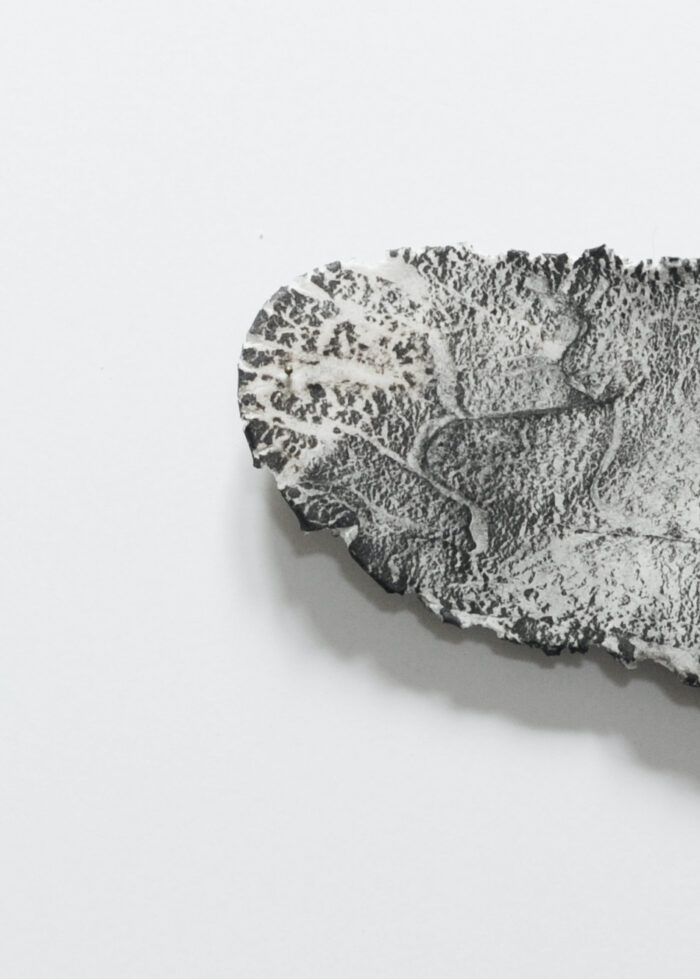 Anne Laval <br> Paésine 6 – Image 2