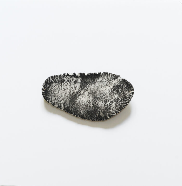 Anne Laval <br> Paésine 4