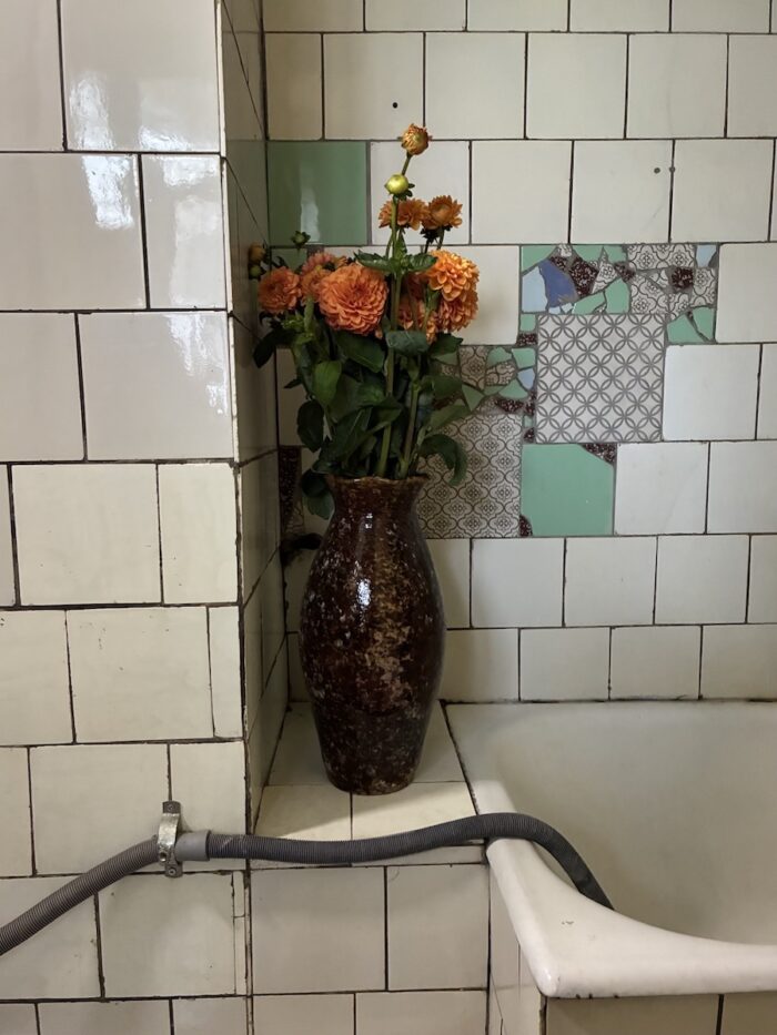 Saskia Bertrand <br> Zubalashvili III