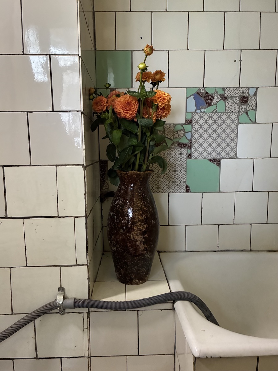 Saskia Bertrand <br> Zubalashvili III