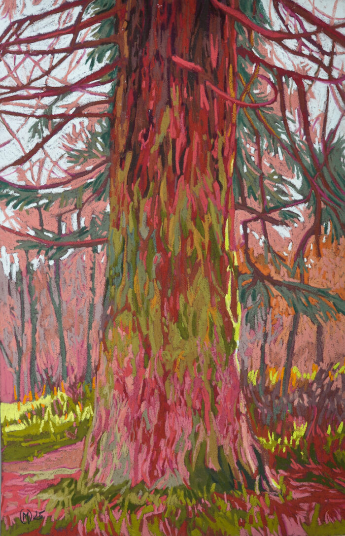 Solenn Marrel <br> Arbre rouge