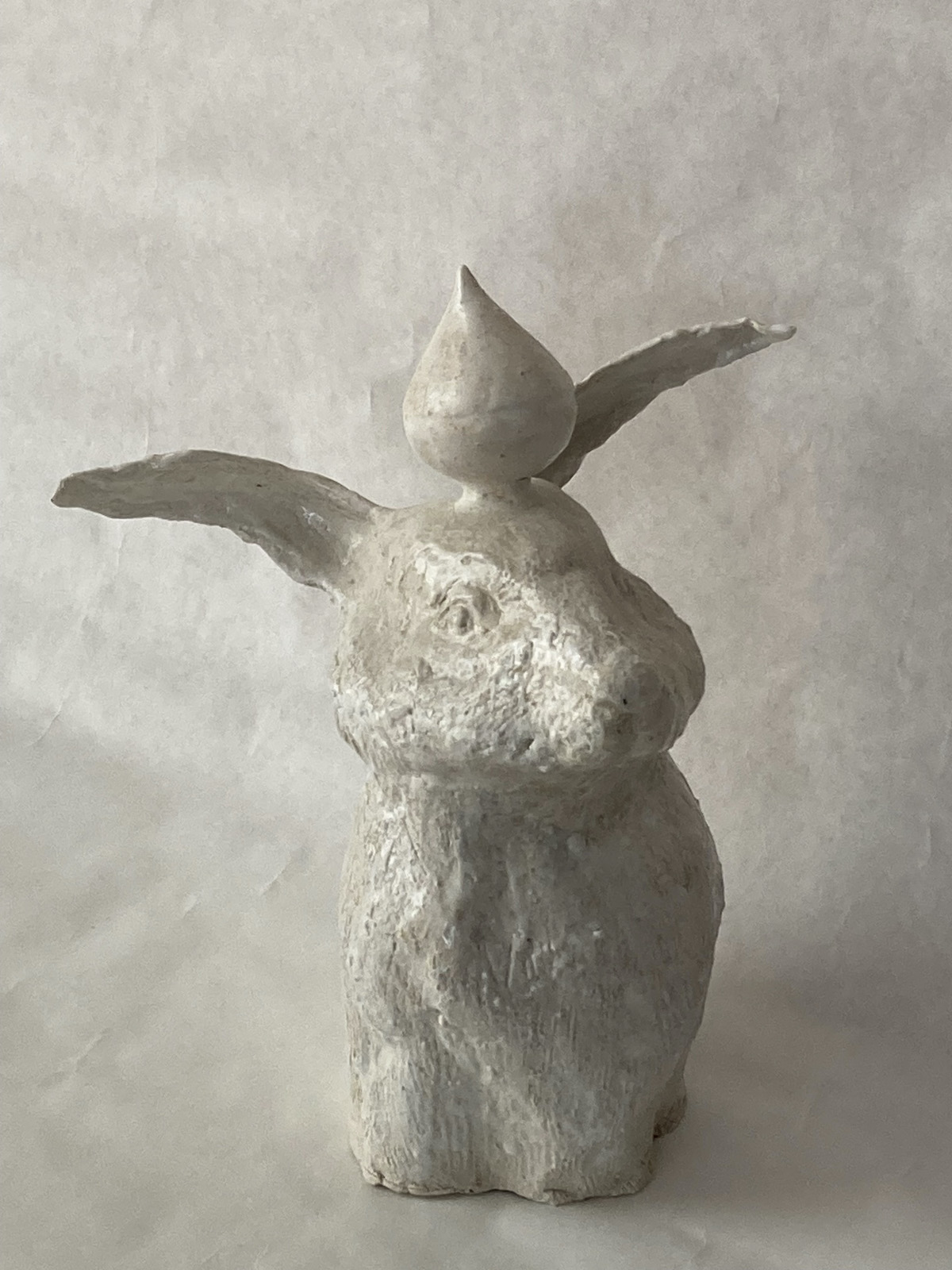 Laveaux_lievre-boussole-web