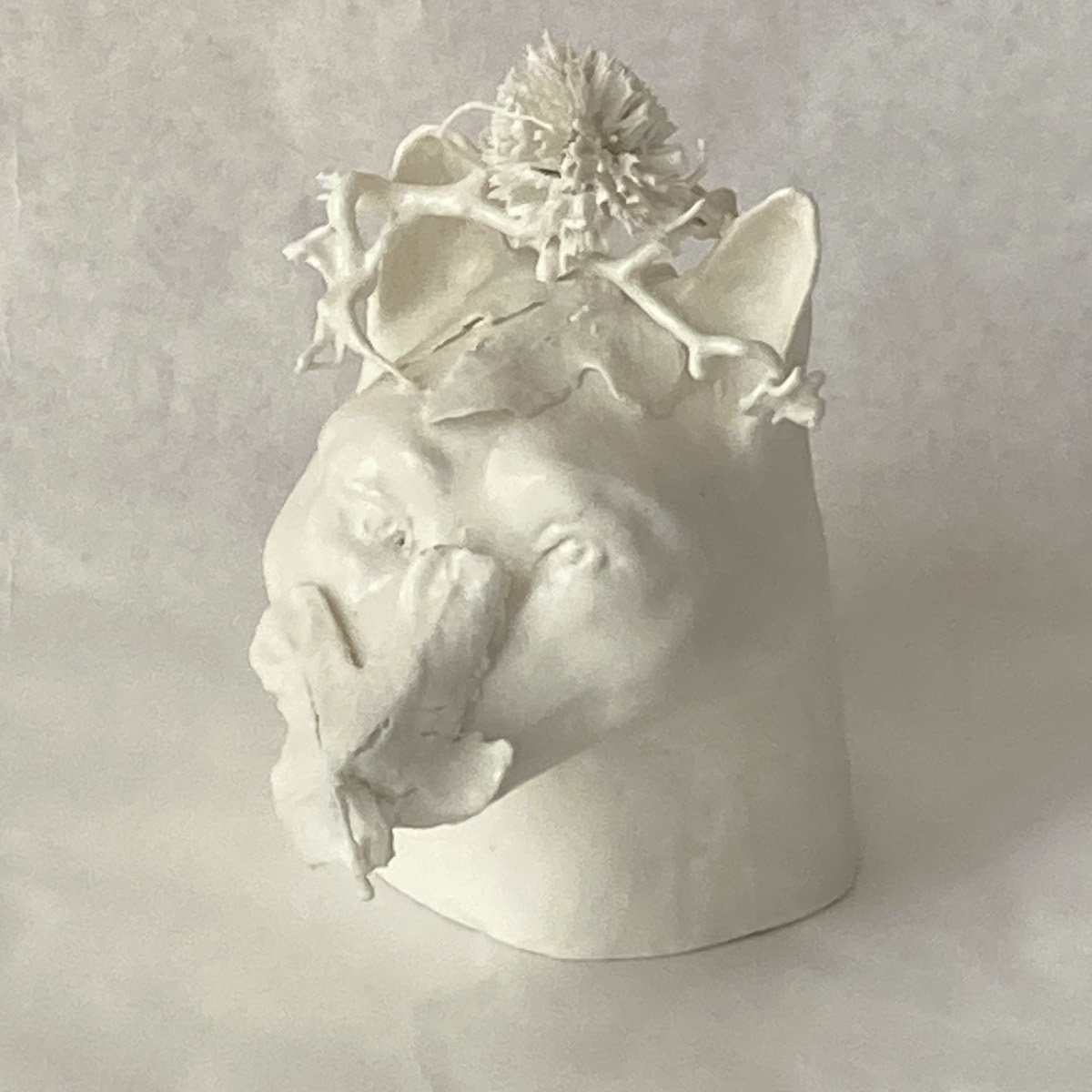 Laveaux_loup-metamorphose-web