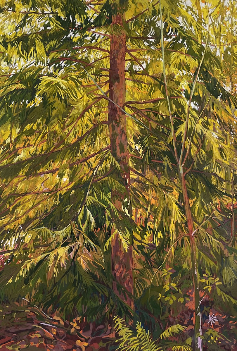 Marrel_2025-foretvertjaune-4-web