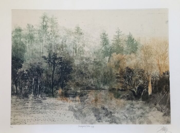 Caroline Bouyer<br> Palimpseste, Composition 44