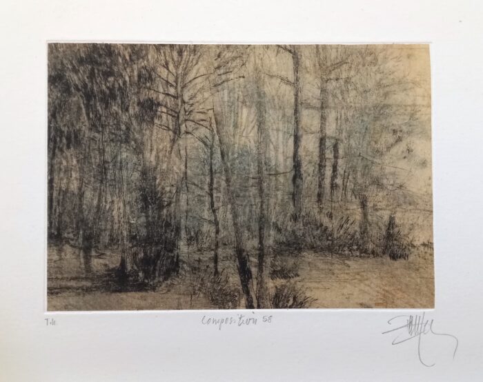 Caroline Bouyer<br> Palimpseste, Composition 58