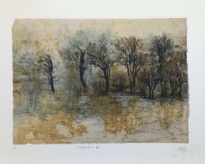 Caroline Bouyer<br> Palimpseste, Composition 86