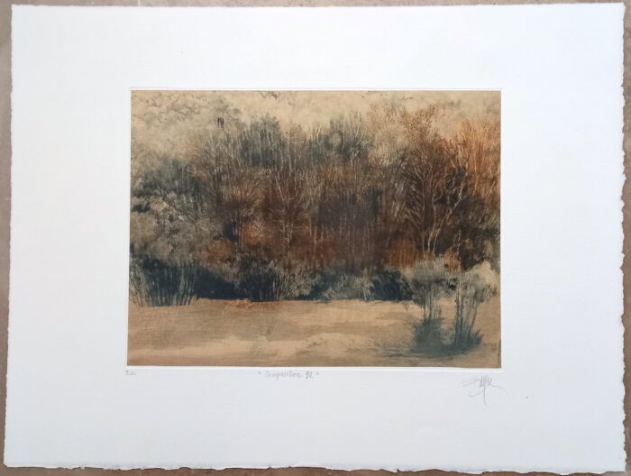 Caroline Bouyer<br> Palimpseste, Composition 92
