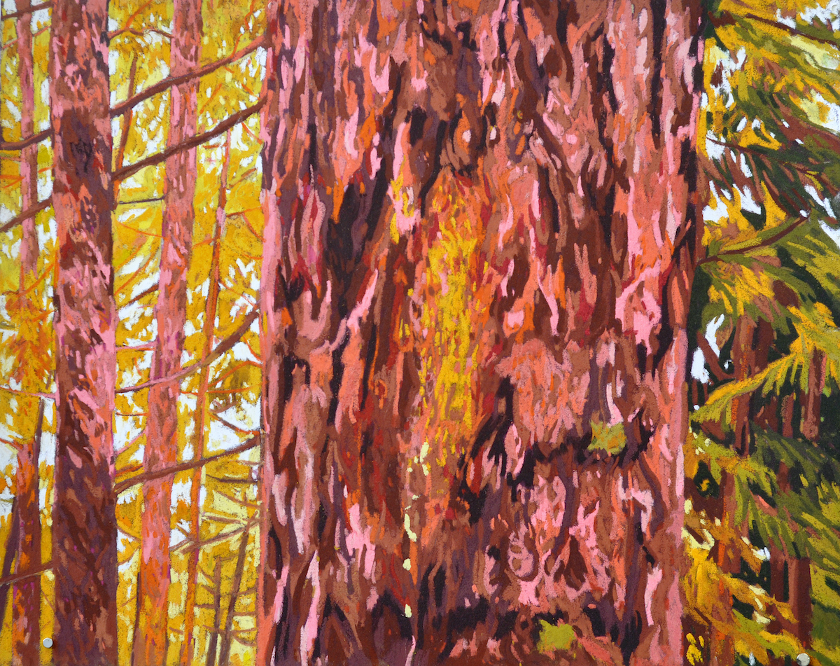 Solenn Marrel <br> Polyptyque – Intérieurs de forêt rosejaune – Image 2