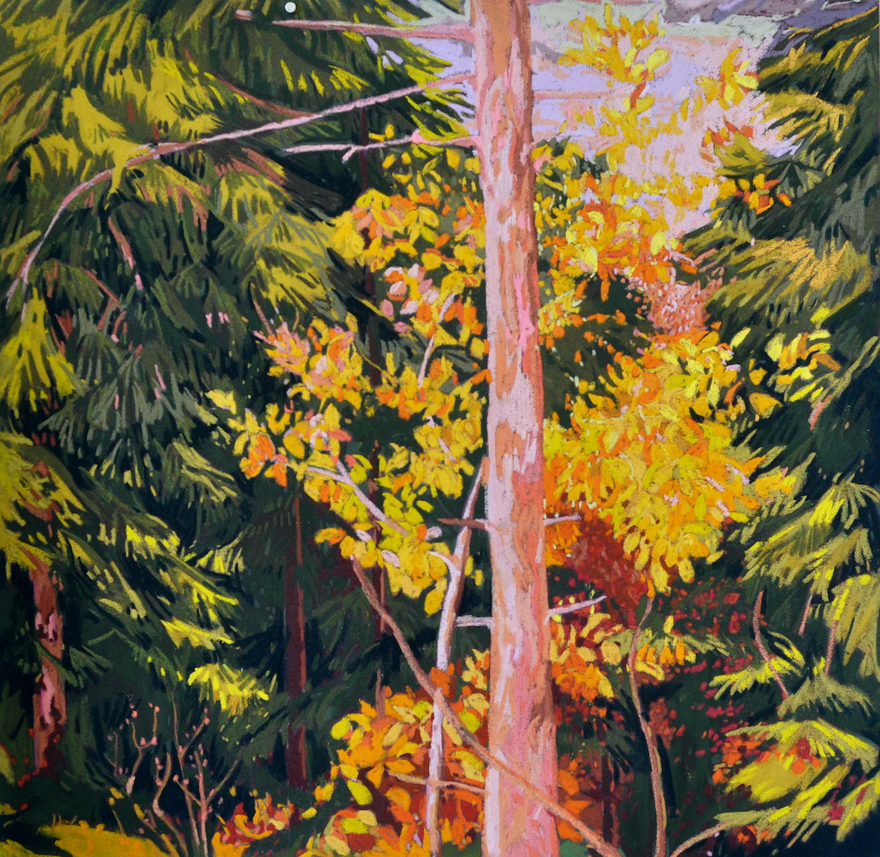 Solenn Marrel <br> Polyptyque – Intérieurs de forêt rosejaune – Image 9