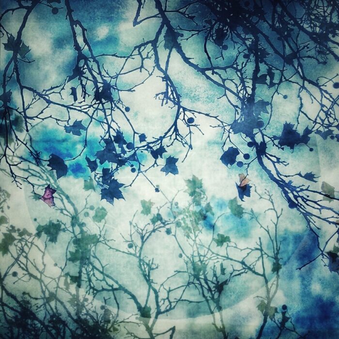 Frédérique Bouet<br> Dentelles (Lace)