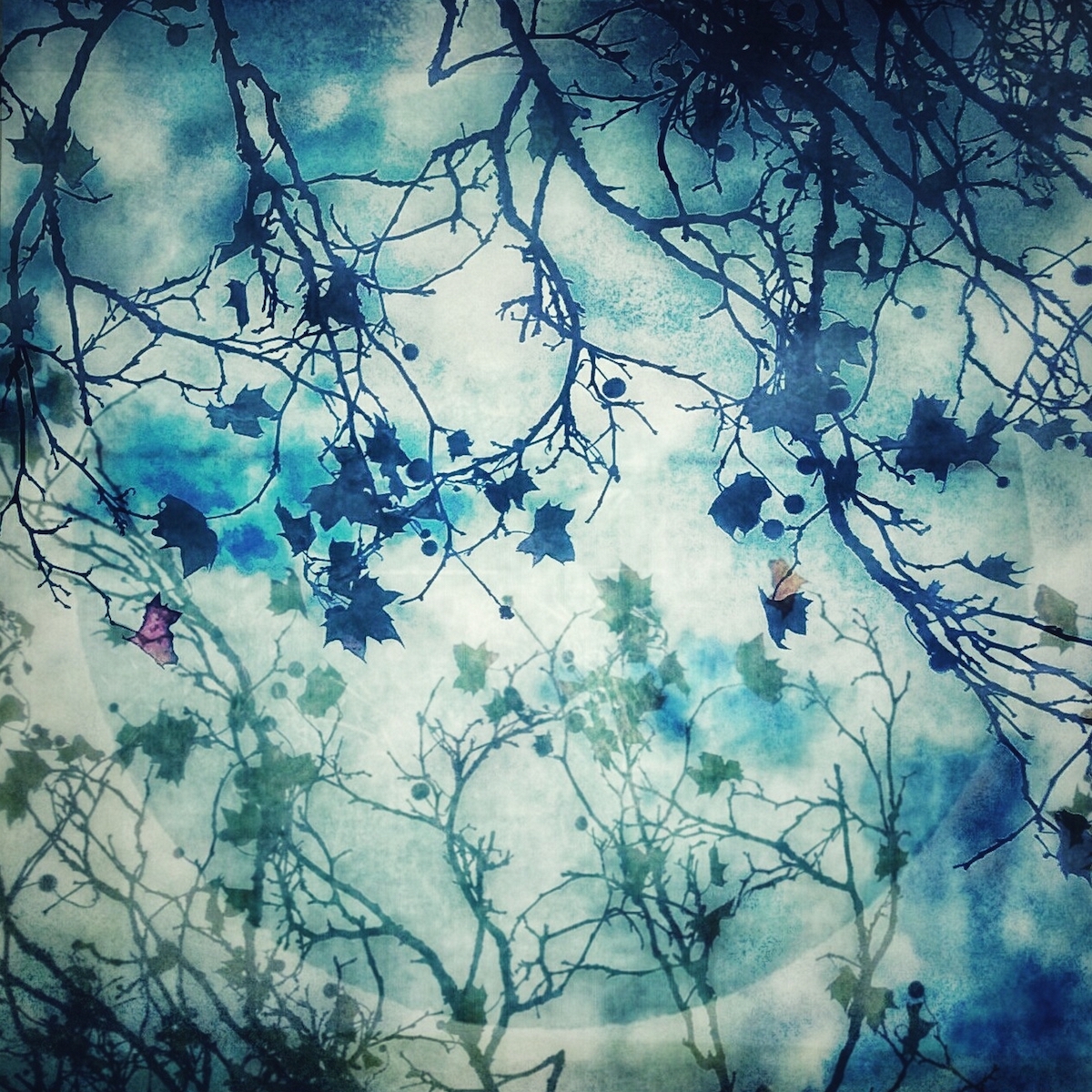 Frédérique Bouet<br> Dentelles (Lace)