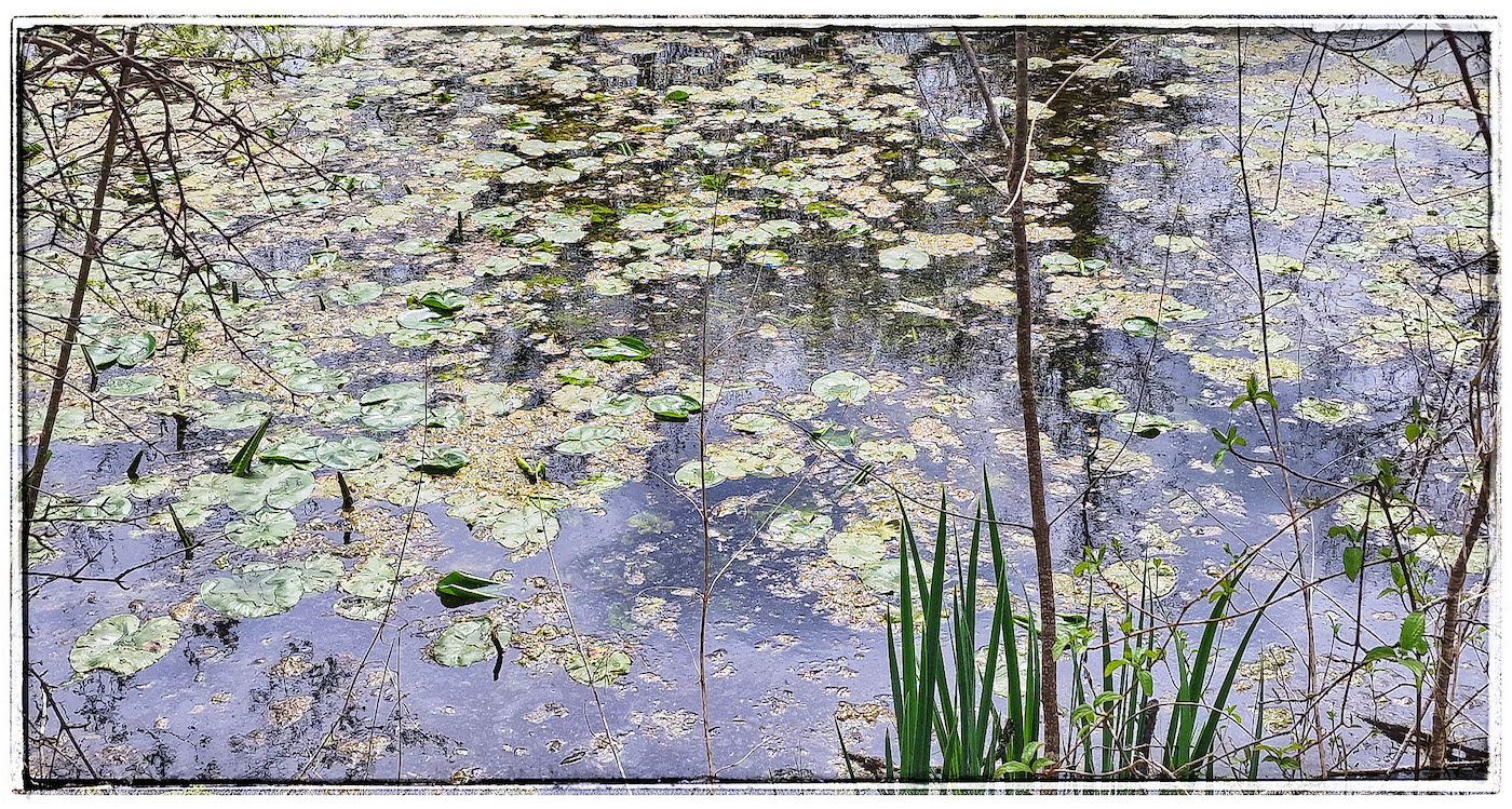 Bouet_Lheure-bleue-3